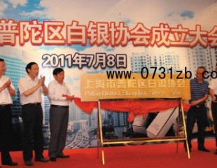 致力現貨交易 成立行業協會上海打造白銀一條街