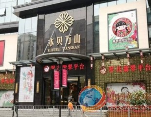 顛覆翡翠銷售模式,翠花新零售亮劍終端!