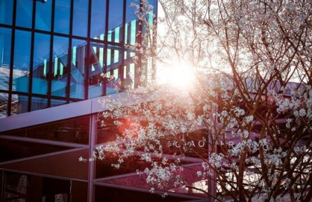 金伯利鉆石2019巴塞爾展邀你璀璨共賞