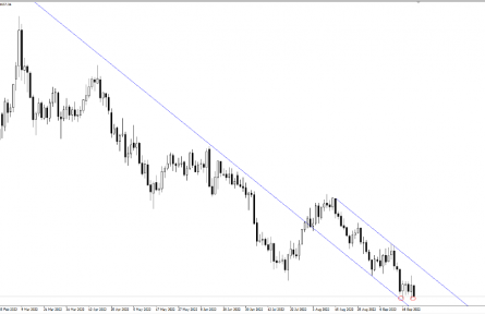 FPG財盛國際:上半場普京,下半場鮑威爾,攪動商品市場