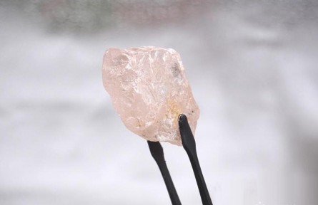 安哥拉開(kāi)采出300年來(lái)全球最大粉鉆,重達(dá)170克拉