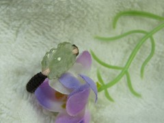 翡翠戒指保養常識