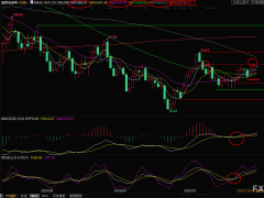 美原油短線交易策略:庫存大減蓋過鮑威爾鷹派講話影響,多頭仍掌控局勢