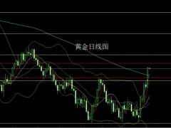 董鎮元：通脹回落壓美指 金銀破頸延續多