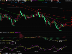 美原油交易策略:臨近圣誕假期,市場關注俄羅斯石油價格上限的反應