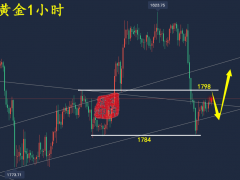 萬錦晟12.23黃金下跌難延續莫追空,黃金仍看震蕩偏多!