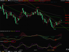 美原油交易策略:關注美國暴風雪影響,油價短線承壓