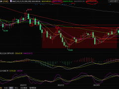 美原油交易策略:美國GDP數據緩解需求擔憂,油價將重拾漲勢?