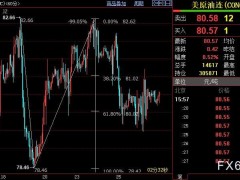 NYMEX原油須盡快重新站上81.02美元