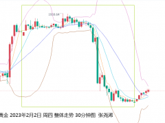 張堯浠:歐英決議助力美元走強(qiáng)、黃金跳水覬覦非農(nóng)再起攀升