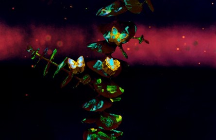 周大生首創(chuàng)熒光琺瑯工藝：好看的皮囊和閃光的內(nèi)在，TA都有！