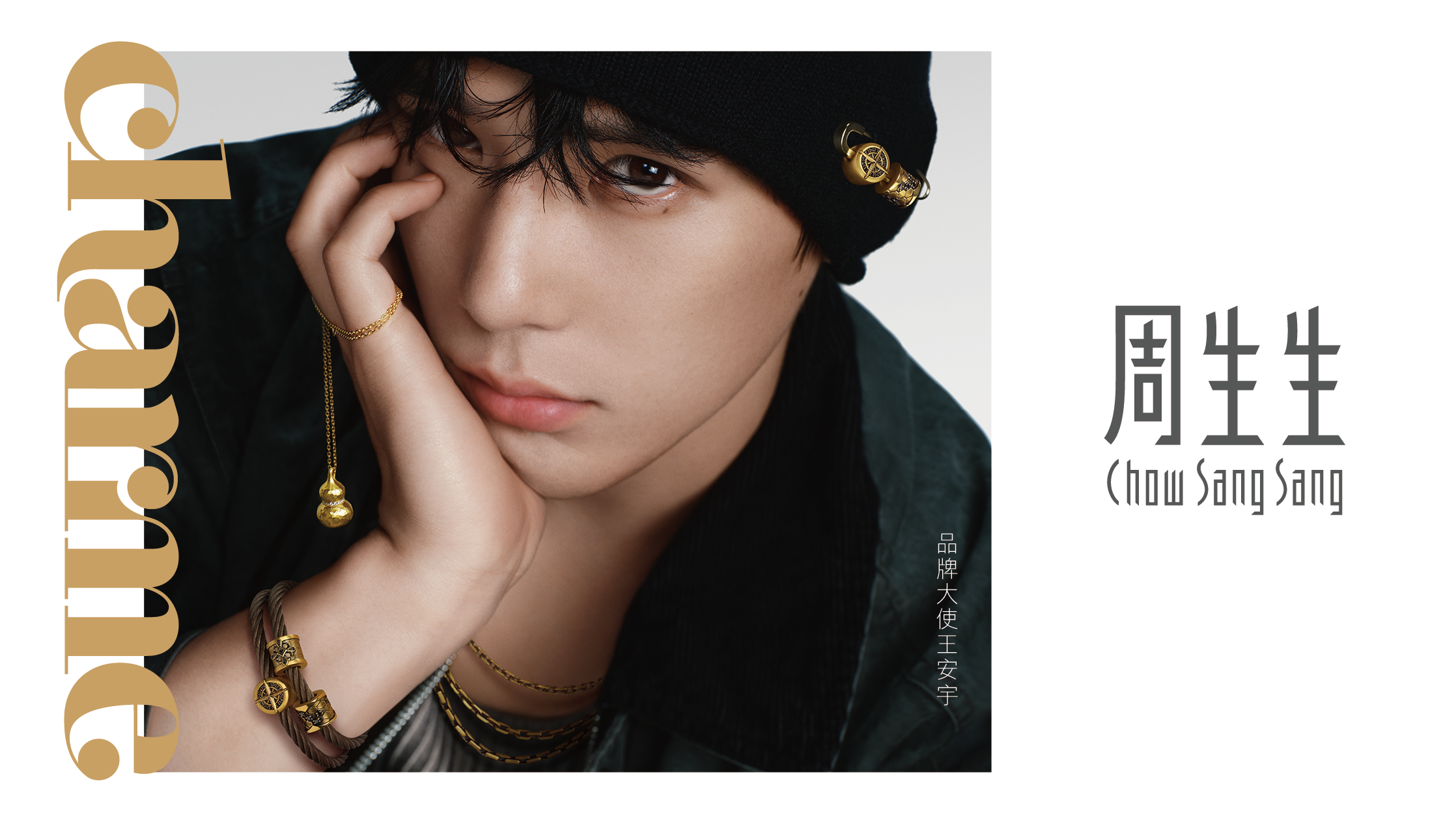 王安宇charme KV 2.png 王安宇charme KV 2.png